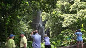 Virtual vacation in Hawaii with Kristen Scott part 4