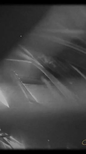 Seven Days to Be My Slave