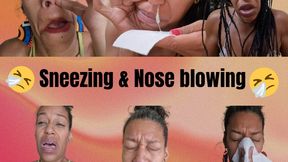 Sneezing and nose blowing