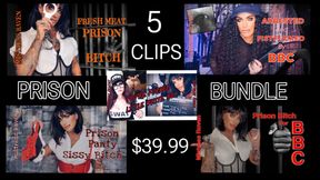 BUNDLE OF 5 PRISON CLIPS