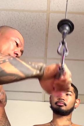 Peterfever Train Hard 3 Flex Your Guns