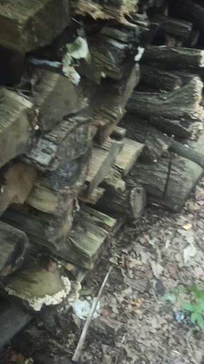 meeting place with strange Strumf