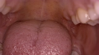 I Fantasize about Swallowing You (VORE Story Time) Mouth tour HQ - ASMR - EROTIC AUDIO