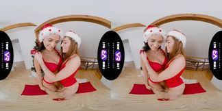 Hot and heavy holiday fun with a sleazy Sodomized sex adventure
