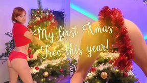 My first Xmas Tree this year!