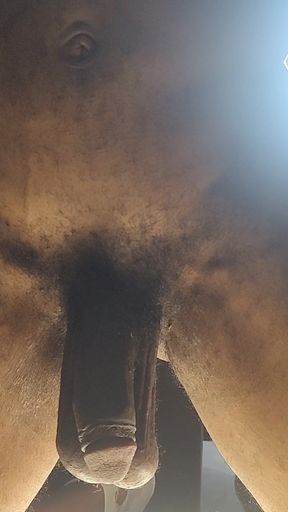 Season Four - Bts Lil Midget Bedroom Play