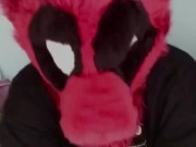 Deadpool Furry wants you for Cuddles & Fun