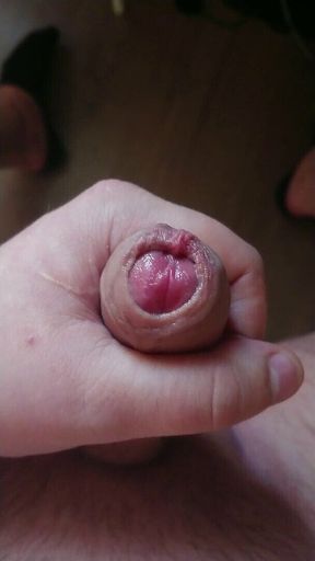 Close up big cock