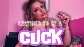 DESTINED TO BE A CUCK [Cuckold, SPH]