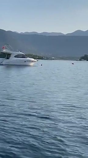 Monika Fox Morning Swimming Naked in the Bay