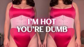 I'm Hot, You're Dumb