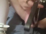 Puppy TS start playing