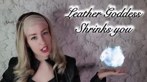 Leather Goddess Shrinks you