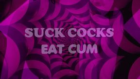 How to Become a Sissy Boi