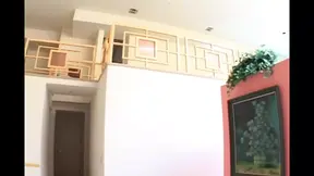 Hot Black Babe gets pounded by international stud