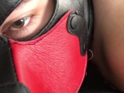 Leather pup wags tail in socks