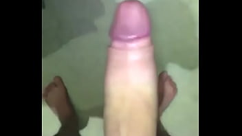 Gatinho estimulando o cacet&atilde_o 2