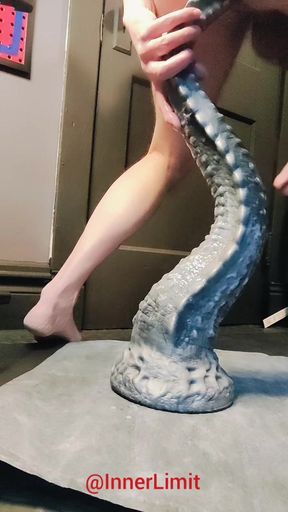 Dragon Tail Insertion