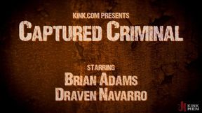 Captured Criminal: Hard Working Stud Gags & Punishes Wanted Thief