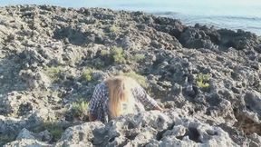 Trapped in a Rock WMV