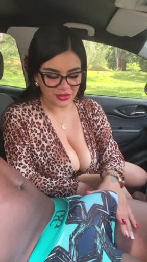 Chupada deliciosa en el carro