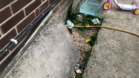 Through the Windows and Got Lucky