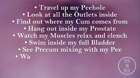 FISRT EVER POV COMSHOT FROM INSIDE THE PROSTATE