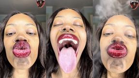 Juicy Red Lips Oral Fixation