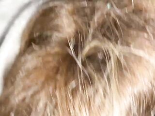 I was lascivious, I had sex with my roommate!