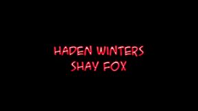 shay fox threesome blowjob with hayden winters