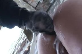 homosexual Porno latest Venyveras Compilation 6982419 720p