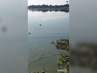 No panties underneath table on bar
