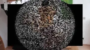 Seductive Ebony Feet Dominate with Irresistible Trampling Power Play