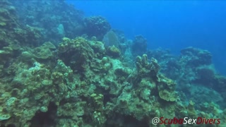 SCUBA Sex in a Miniskirt by a Beautiful Coral Reef