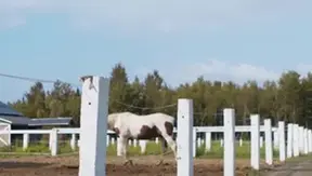 Men: Riding Hard with Ranch Hand