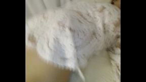 GIGI de palermo Roma