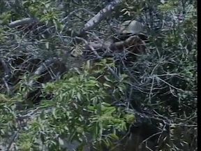 Hot bitch ass fucked on the hiking trail