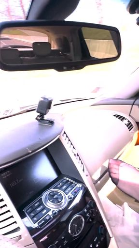 Hairy Pussy Alisa Squirts a River in My Car