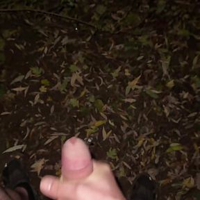 Outdoor Cumshot