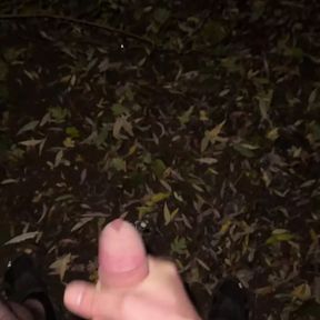 Outdoor Cumshot