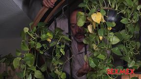 sexmex - perv stp-fther . haide unique