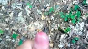 NETTLES &amp_ CUM IN THE FOREST (kopřivy a v&yacute_střik v lese)