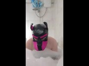 Puppy splash about in bath