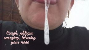 Cough, phlegm, sneezing, blowing your nose