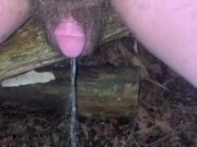 Crouch pissing off a fallen tree outdoors