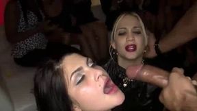Dancing Bear Facial Compilation
