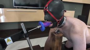 BDSM-GAY Stockade Double Fuck Machines – Full Metal Chastity Slave Gets Ass & Mouth Fucked + Hot Wax