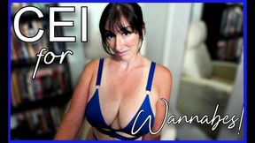 CEI for the Wannabes