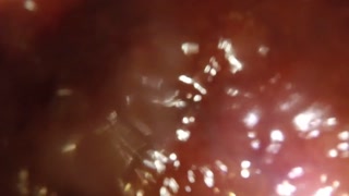 POV - Shoving you in deep with a 12in dildo