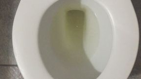 MY GOLD PEE IN MY TOILET